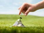 penerapan green investment di Indonesia