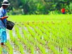Tingkatkan-Pendapatan-Petani-Kementan-Dorong-Hilirisasi-Pertanian-Skala-Rumah-Tangga