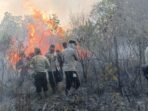 foto_karhutla_TNWK_ANTARA_1600px