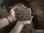 target-hilirisasi-komoditas-perkebunan-2700736